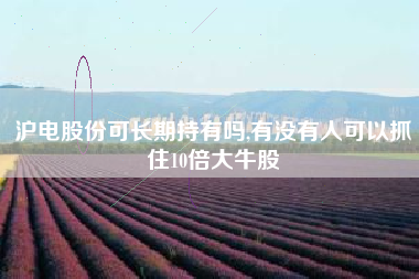 沪电股份可长期持有吗,有没有人可以抓住10倍大牛股