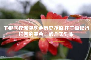 工银医疗保健基金历史净值,在工商银行赎回的基金一般几天到帐