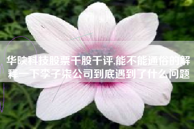 华映科技股票千股千评,能不能通俗的解释一下李子柒公司到底遇到了什么问题
