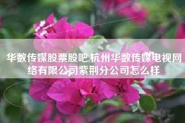 华数传媒股票股吧,杭州华数传媒电视网络有限公司紫荆分公司怎么样