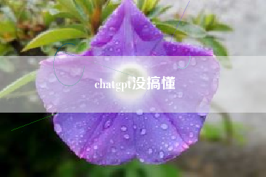 chatgpt没搞懂