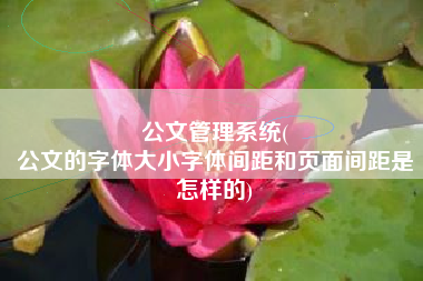公文管理系统(
公文的字体大小字体间距和页面间距是怎样的) 公文管理系统(
公文的字体大小字体间距和页面间距是怎样的)