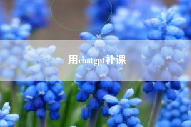 用chatgpt补课