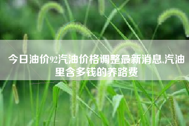 今日油价92汽油价格调整最新消息,汽油里含多钱的养路费