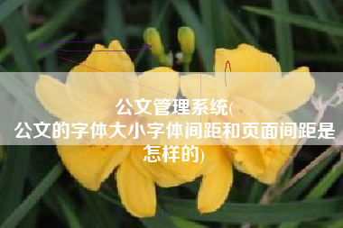 公文管理系统(
公文的字体大小字体间距和页面间距是怎样的) 公文管理系统(
公文的字体大小字体间距和页面间距是怎样的)