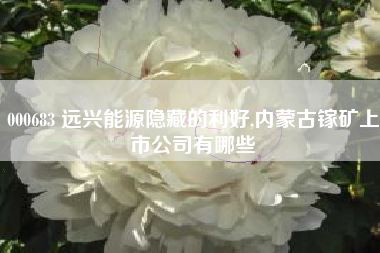 000683 远兴能源隐藏的利好,内蒙古镓矿上市公司有哪些