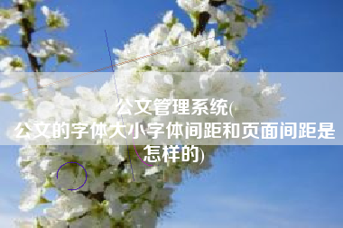 公文管理系统(
公文的字体大小字体间距和页面间距是怎样的) 公文管理系统(
公文的字体大小字体间距和页面间距是怎样的)