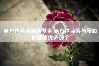 易方达蓝筹混合基金,易方达蓝筹与景顺长城绩优选哪个