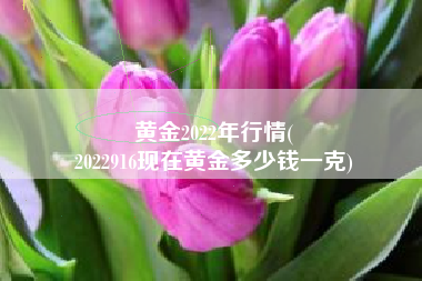 黄金2022年行情(
2022916现在黄金多少钱一克) 黄金2022年行情(
2022916现在黄金多少钱一克)