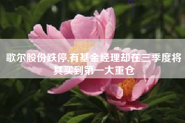 歌尔股份跌停,有基金经理却在三季度将其买到第一大重仓