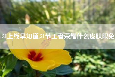 51上线早知道,51节王者荣耀什么皮肤限免