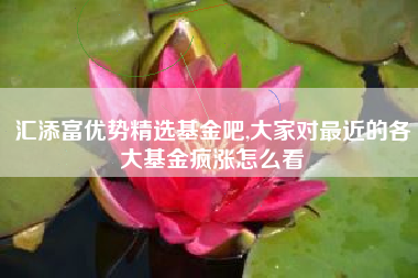 汇添富优势精选基金吧,大家对最近的各大基金疯涨怎么看