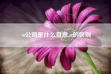 st公司是什么意思,st的区别