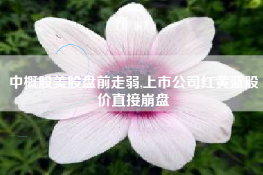 中概股美股盘前走弱,上市公司红黄蓝股价直接崩盘