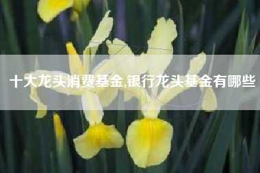 十大龙头消费基金,银行龙头基金有哪些