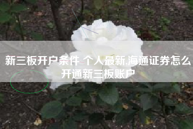 新三板开户条件 个人最新,海通证券怎么开通新三板账户