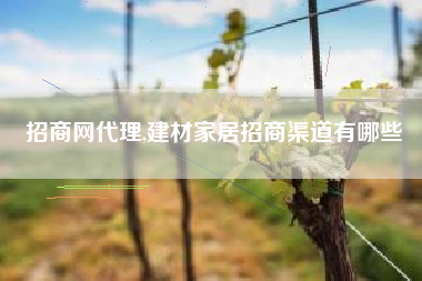 招商网代理,建材家居招商渠道有哪些