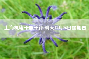 上海机电千股千评,明天11月26日星期四