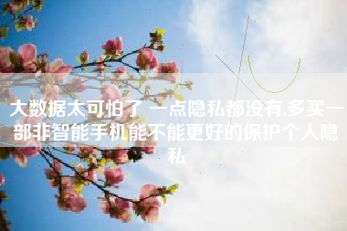 大数据太可怕了 一点隐私都没有,多买一部非智能手机能不能更好的保护个人隐私