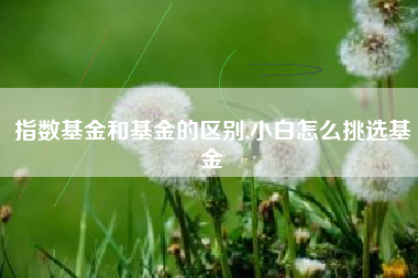 指数基金和基金的区别,小白怎么挑选基金