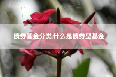 债券基金分类,什么是债券型基金