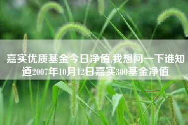嘉实优质基金今日净值,我想问一下谁知道2007年10月12日嘉实300基金净值
