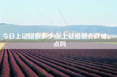 今日上证指数多少点,上证指数会跌破2400点吗