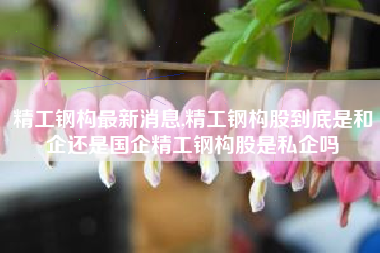 精工钢构最新消息,精工钢构股到底是和企还是国企精工钢构股是私企吗