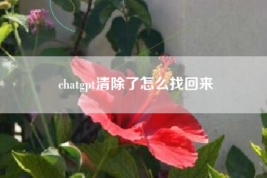 chatgpt清除了怎么找回来