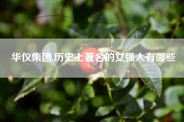 华仪集团,历史上著名的女强人有哪些