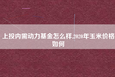上投内需动力基金怎么样,2020年玉米价格如何