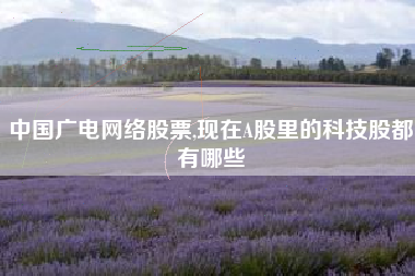 中国广电网络股票,现在A股里的科技股都有哪些