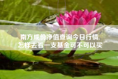 南方成份净值查询今日行情,
怎样去看一支基金可不可以买 南方成份净值查询今日行情,
怎样去看一支基金可不可以买