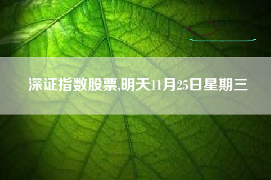 深证指数股票,明天11月25日星期三