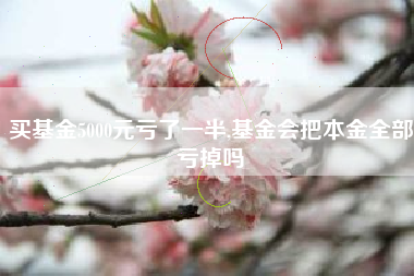 买基金5000元亏了一半,基金会把本金全部亏掉吗