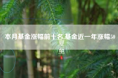 本月基金涨幅前十名,基金近一年涨幅50