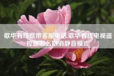 歌华有线宽带客服电话,歌华有线电视遥控器怎么取消静音模式