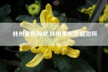 林州重机现状,林州重机价值如何