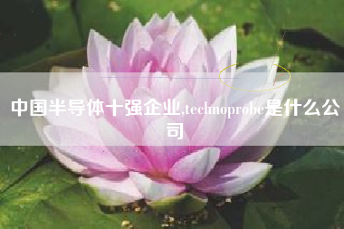 中国半导体十强企业,technoprobe是什么公司