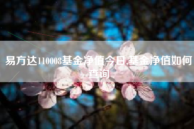 易方达110008基金净值今日,基金净值如何查询