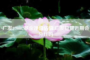 广发270002基金净值估值,广发稳健近期会分红吗