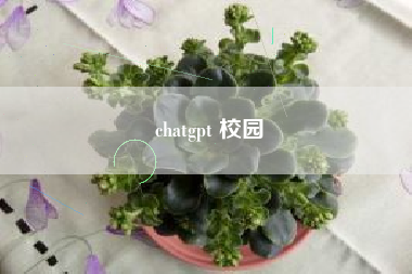 chatgpt 校园