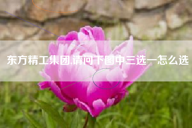 东方精工集团,请问下图中三选一怎么选