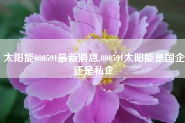 太阳能000591最新消息,000591太阳能是国企还是私企