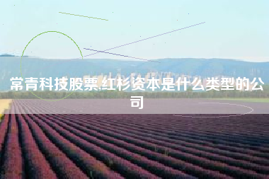 常青科技股票,红杉资本是什么类型的公司