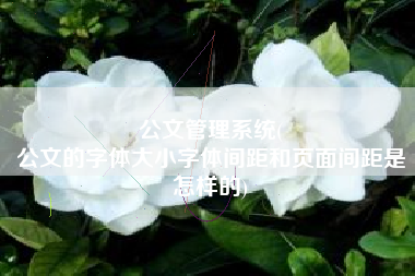 公文管理系统(
公文的字体大小字体间距和页面间距是怎样的) 公文管理系统(
公文的字体大小字体间距和页面间距是怎样的)