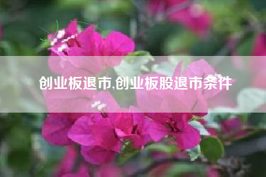 创业板退市,创业板股退市条件