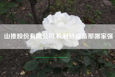 山推股份有限公司,机制砂设备那哪家强