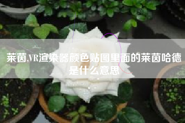 莱茵,VR渲染器颜色贴图里面的莱茵哈德是什么意思