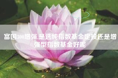 富国300增强,是选纯指数基金定投还是增强型指数基金好呢